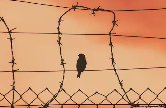 ਚੌਥੇ ਨੰਬਰ 'ਤੇ ਭਾਰਤ ਆਉਂਦਾ ਹੈ, ਜਿੱਥੇ ਵੱਖ-ਵੱਖ ਜੇਲ੍ਹਾਂ 'ਚ ਕਰੀਬ 5 ਲੱਖ 54 ਹਜ਼ਾਰ ਕੈਦੀ ਹਨ।