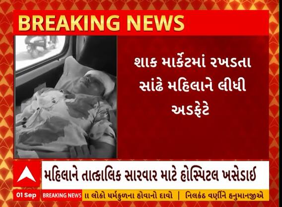 Kheda: ખેડાના નડીયાદમાં સાંઢે મહિલાને અડફેટે લેતા ગંભીર ઈજા પહોંચી