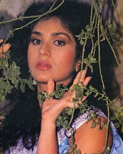 Meenakshi Seshadri Photos: सालों बाद ऐसी दिखती हैं सनी देओल की ‘दामिनी’, एक्टिंग से दूर विदेश में कर रही ये काम