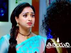 Trinayani September 1 Written Update: విభూది రాయగానే మారిపోయిన విశాల్, సుమన పాముకు జన్మనిచ్చిందని తెలుసుకున్న నయని!