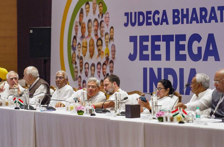 আম আদমি পার্টির রাজ্যসভার সাংসদ রাঘব চাড্ডা।ন্যাশনাল কনফারেন্সের সহ সভাপতি ওমর আবদুল্লার মতো তরুণ মুখ।