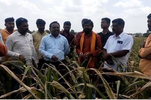 शेतकऱ्यांची पिकं वाया जात आहेत. नजर पोहोचेल तिथपर्यंत पिक वाळली आहेत. मेहनत करुन पेरलेली पिकं वाया जात असल्यानं शेतकरी चिंतेत आहेत.