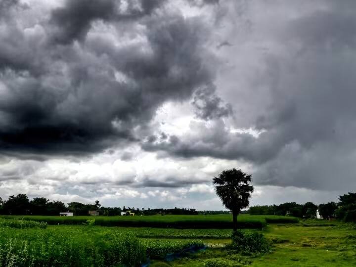 weather update imd- orecast rain-with-thunderstorms in-kerala karnataka telangana IMD Weather Update : देशाच्या 'या' भागांत मान्सूनचे पुनरागमन; मेघगर्जनेसह पावसाची शक्यता