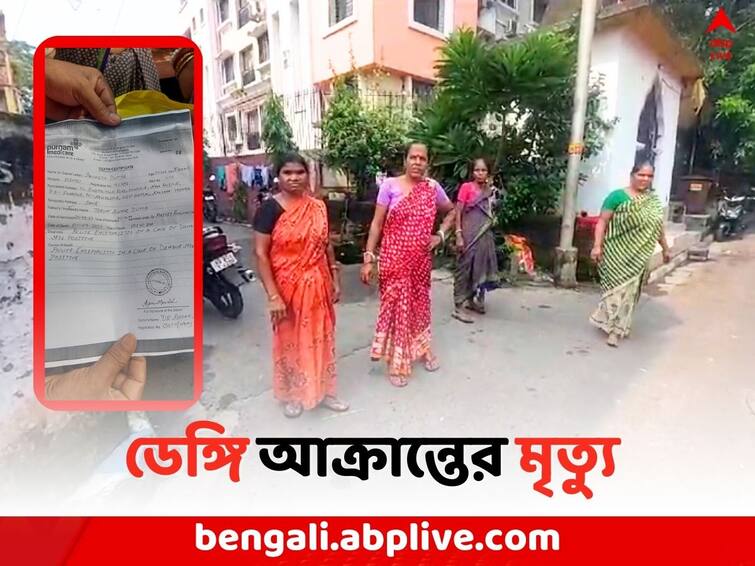 Kolkata Local News: 33 years old lady s death due to Dengue in New Alipore Dengue Death: ৩৩ বছরেই সব শেষ, ফের কলকাতায় ডেঙ্গিতে আক্রান্ত হয়ে মৃত্যু মহিলার