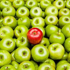 Green Apple : ਹਰਾ ਸੇਬ ਹੁੰਦਾ ਹੈ ਸਭ ਤੋਂ ਫਾਇਦੇਮੰਦ, ਦੇਖੋ ਕੀ ਕੀ ਨੇ ਇਸ ਦੇ ਲਾਭ