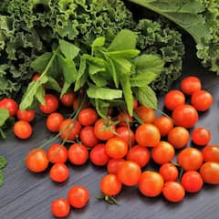 Cherry Tomato : ওজন কমানো থেকে ক্যানসার ঠেকানো, একাধিক মারাত্মক রোগের 'ওষুধ' চেরি টোম্যাটো