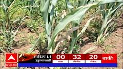 Nandurbar Electricity Issue : विद्युत पुरवठा नसल्यानं पिकं जळाली, नंदुरबारमध्ये भीषण अवस्था