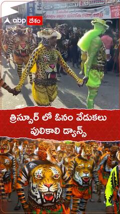 త్రిస్సూర్ లో సంప్రదాయ పులికాలి డ్యాన్స్