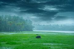 Rain : यंदाचा ऑगस्ट महिना ठरला इतिहासातील सर्वात कमी पावसाचा