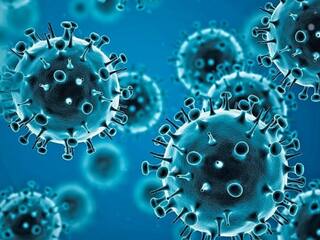 WHO Alert: ਕੋਵਿਡ ਮਹਾਮਾਰੀ ਤੋਂ 20 ਗੁਣਾ ਵੱਡੀ ਨਵੀਂ ਬਿਮਾਰੀ ਆਈ, WHO ਦਾ ਅਲਰਟ- 5 ਕਰੋੜ ਲੋਕਾਂ ਦੀ ਹੋ ਸਕਦੀ ਮੌਤ