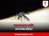 Dengue : দাপট দেখাচ্ছে ডেঙ্গির দুই প্রজাতি, মারাত্মক হারে বাড়ছে সংক্রমণ, কী জানাল NICED?