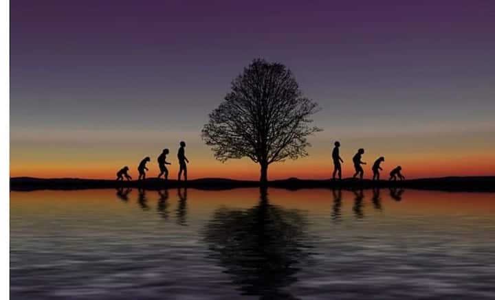 ওই সময়ই মনুষ্য সমাজের বিবর্তন শুরু বলেও মনে করছেন গবেষকরা। তাঁদের মতে, ওই সময় থেকেই ছোট ছোট গোষ্ঠীতে বিভক্ত হয়ে পৃথিবীর বিভিন্ন প্রান্তে ছড়িয়ে ছিটিয়ে যেতে থাকেন মানুষ। সায়েন্স জার্নালে এই গবেষণাপত্রটি প্রকাশিত হয়েছে।