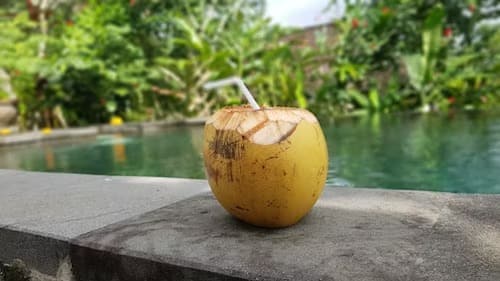 जगभरात नारळाचे उत्पादन घेतले जाते, पण आग्नेय आशियात त्याचे सर्वाधिक उत्पादन घेतलं जातं. नारळाच्या उत्पादनाच्या बाबतीत इंडोनेशियाचा जगात पहिला क्रमांक लागतो. भारतातही कोकण किनारी, गुजरात पासून ते केरळपर्यंत आणि पूर्व किनाऱ्याच्या पश्चिम बंगालपासून ते तामिळनाडूपर्यंत नारळाचे उत्पादन घेतलं जातं.