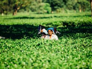 PM Kisan Samman Nidhi: ਇਸ ਮਹੀਨੇ ਤੱਕ ਆ ਸਕਦੀ ਹੈ ਕਿਸਾਨ ਸਨਮਾਨ ਨਿਧੀ ਦੀ 15ਵੀਂ ਕਿਸ਼ਤ