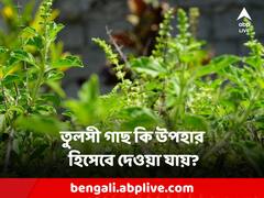 Vastu Tips: বাস্তুশাস্ত্র মতে তুলসী গাছ কি উপহার হিসেবে দেওয়া যেতে পারে?