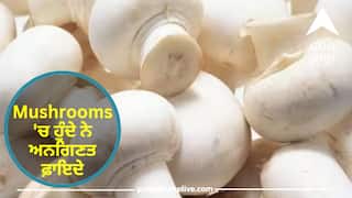 Mushrooms 'ਚ ਹੁੰਦੇ ਨੇ ਅਨਗਿਣਤ ਫ਼ਾਇਦੇ, ਜਾਣੋ ਇਸ ਨੂੰ ਆਪਣੀ ਡਾਈਟ ਵਿੱਚ ਕਿਉਂ ਕਰੀਓ ਸ਼ਾਮਲ