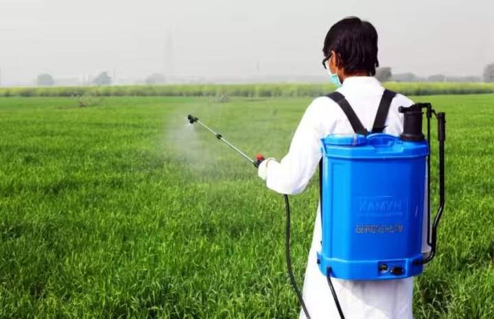 સ્પ્રેયર મશીન: સ્પ્રેયર મશીન પાક પર જંતુનાશકો અને પ્રવાહી ખાતરોનો છંટકાવ કરવાનું સરળ બનાવે છે. આ સ્પ્રેયર મશીનને કમર પર બેગની જેમ ચાલુ કરી શકાય છે. તેની સાથે એક ટાંકી જોડાયેલ છે, જેમાં જંતુનાશકો અને પ્રવાહી ખાતરો છંટકાવ માટે મૂકવામાં આવે છે. આ ઉપરાંત, તેમાં હેંગ સ્પ્રેયર પણ છે, જેના દ્વારા આખા પાકને સ્પ્રે કરવામાં આવે છે. કેટલાક સ્પ્રેયર ઓટોમેટિક હોય છે, જે બેટરી પર ચાલે છે. જ્યારે કેટલાકને મેન્યુઅલી ઓપરેટ કરવા પડે છે. તેઓ પાકની તમામ જરૂરિયાતો પૂરી કરે છે. ખેડૂતોએ તેમના બજેટ મુજબ સ્પ્રેયર મશીન ખરીદવું જ જોઇએ.