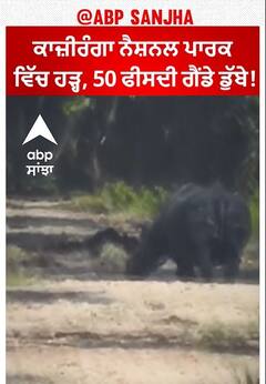 Kaziranga News। ਕਾਜ਼ੀਰੰਗਾ ਨੈਸ਼ਨਲ ਪਾਰਕ ਵਿੱਚ ਹੜ੍ਹ, 50 ਫੀਸਦੀ ਗੈਂਡੇ ਡੁੱਬੇ!
