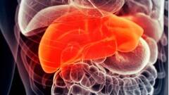 Health News:পেটের ডান দিকে উপরের অংশে ব্যথা? লিভার-ডিজিজ নয়তো?