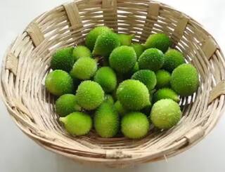 Health: ਮਾਨਸੂਨ 'ਚ ਮਿਲਣ ਵਾਲੀ ਇਹ ਸਬਜ਼ੀ ਕਈ ਬਿਮਾਰੀਆਂ ਨੂੰ ਕਰਦੀ ਦੂਰ, ਜਾਣੋ ਹੈਰਾਨ ਕਰਨ ਵਾਲੇ ਫਾਇਦੇ