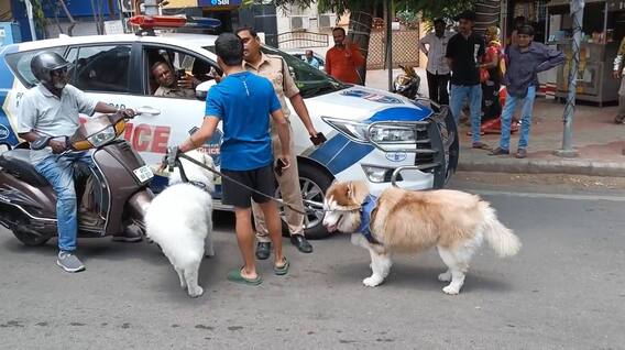 Common Man Fires on Police |పోలీసులపై విరుచుకుపడిన యువకుడికి జైలు శిక్ష | ABP Desam