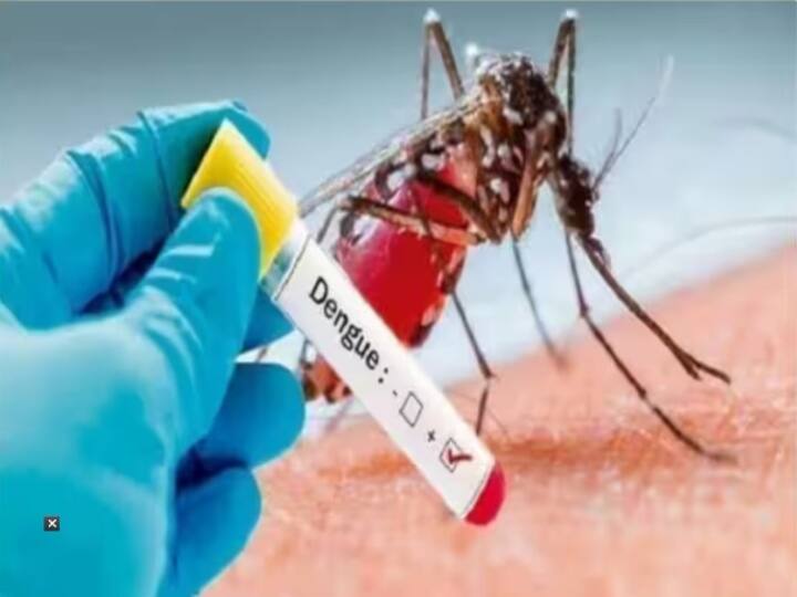 Haryana Dengue sting became dangerous in Haryana, 1362 dengue cases and 7 people died Haryana Dengue Cases: हरियाणा के 5 जिलों बढ़ा डेंगू का खतरा, मिल चुके हैं 1362 केस, अब तक 7 लोगों की मौत