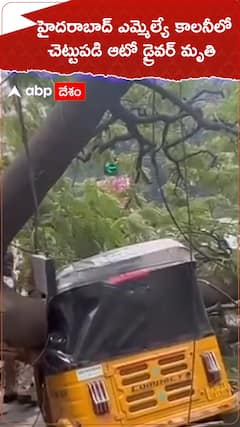 భారీ చెట్టు మీదపడి ఆటో డ్రైవర్ మృతి