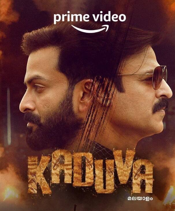 फिर विवेक ने साउथ सिनेमा में भी अपनी किस्मत आजमाई और तब तक ओटीटी भी आ गया. ऐसे में विवेक ने यहां कई फिल्में कर अपना डूबता करियर बचाया. विवेक ने तेलुगू फिल्मों में डेब्यू किया. Vivegam फिल्म में उनका काम कमाल का रहा. 2019 में रामचरण की फिल्म Vinaya Vidheya Rama में भी विवेक दिखे. मलयालम फिल्म Kaduva में भी विवेक नजर आए.