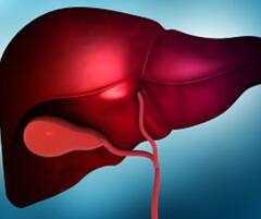 Health News:পেটের ডান দিকে উপরের অংশে ব্যথা? লিভার-ডিজিজ নয়তো?