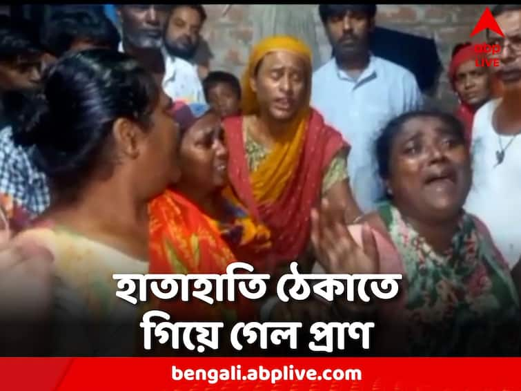 South 24 Parganas old woman died trying to stop the fight between two friends due to the loss of mobile phone South 24 Parganas: মোবাইল খোওয়া যাওয়ায় দুই বন্ধুর হাতাহাতি, ঠেকাতে গিয়ে প্রাণ গেল বৃদ্ধার