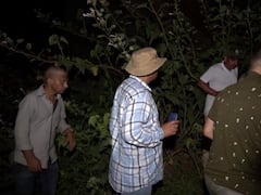 4 साल की बच्ची को घर से उठा ले गया तेंदुआ, दो किमी दूर मिला शव