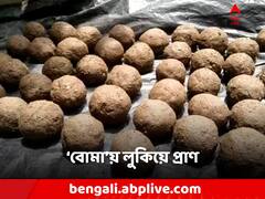 বনদফতরেই তৈরি 'বোমা', 'টেস্টিং' সফল হতেই বরাতের ঢেউ