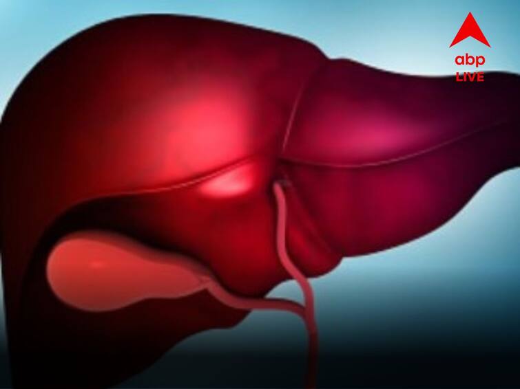 Symptoms And Reasons Of Fatty Liver Disease Liver Disease:লিভারের যত্ন নিন, সজাগ হোন এই উপসর্গ দেখে