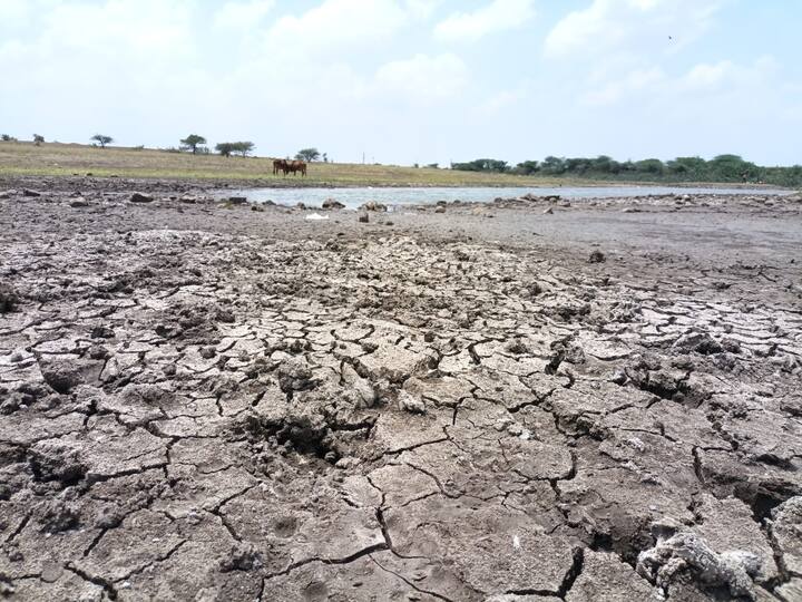 मात्र वैजापूर तालुक्यातील सगळी पाझर तलाव कोरडीठाक पडण्याच्या मार्गावर आहे. विशेष म्हणजे काही तलावातून गावांच्या पाणीपुरवठा योजनेला पाणी पुरवले जाते. पण, आता या गावांचा देखील पाण्याचा प्रश्न गंभीर बनला आहे.