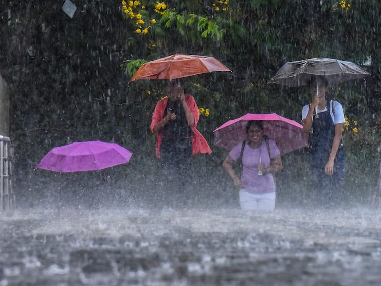 Weather in Telangana Andhrapradesh Hyderabad on 3 September 2023 Monsoon updates latest news here Weather Latest Update: నేడు మరో ఆవర్తనం, తెలుగు రాష్ట్రాలకు భారీ వర్షసూచన, రేపు అతి భారీ - ఆరెంజ్ అలర్ట్ జారీ: ఐఎండీ