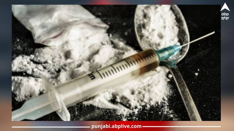 Patiala News: Now Punjabi will dam river of drugs themselves, village boy in action mode, fear among drug traffickers Patiala News: ਨਸ਼ਿਆਂ ਦੇ ਦਰਿਆ ਨੂੰ ਹੁਣ ਖੁਦ ਹੀ ਬੰਨ੍ਹ ਲਾਉਣਗੇ ਪੰਜਾਬੀ, ਐਕਸ਼ਨ ਮੋਡ 'ਚ ਪਿੰਡਾਂ ਦੇ ਮੁੰਡੇ, ਨਸ਼ਾ ਤਸਕਰਾਂ 'ਚ ਖੌਫ