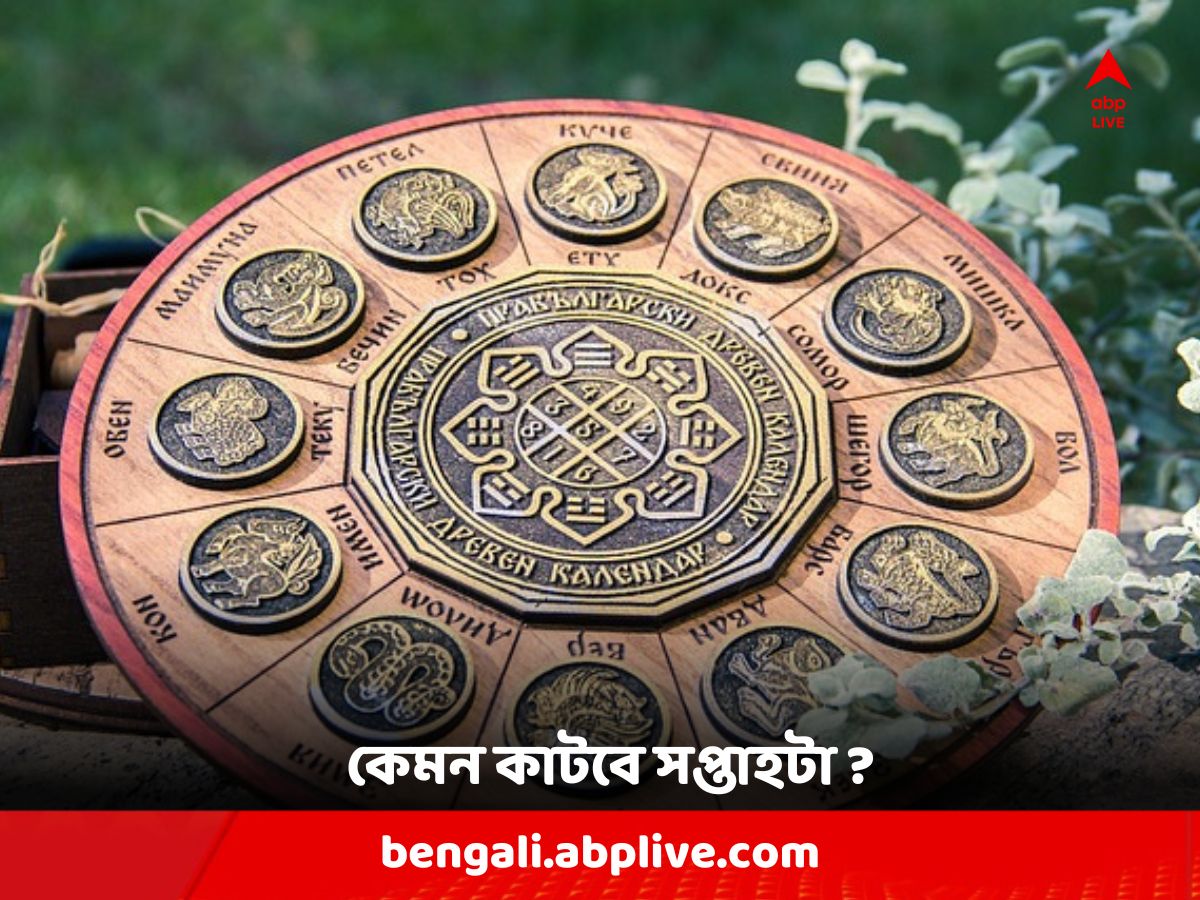 Weekly Horoscope : সবকিছু ছেড়ে এ সপ্তাহে আগে নিজের স্বাস্থ্যের যত্ন নিতে হবে মকরকে, কেমন কাটবে আপনার ?