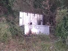 भदोही में बक्से में अर्धजली नाबालिग लड़की का मिला शव, मृतका की नहीं हो पा रही पहचान