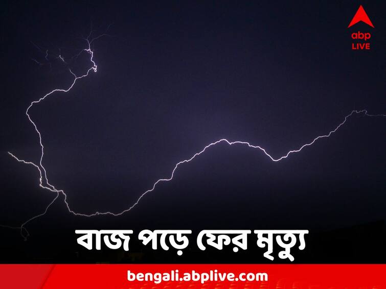 Purulia News 3 Death and 1 injured due to lightning Purulia News: ফের বজ্রাঘাতে গেল প্রাণ, মৃত তিন, আহত এক
