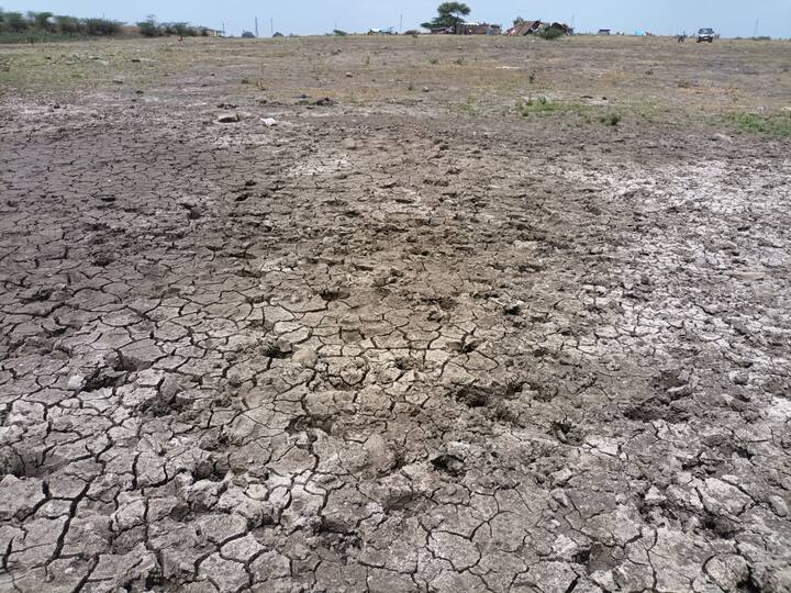 गेल्यावर्षी ऑक्टोबर महिन्यातच ओसंडून वाहणारी धरणे आता भर पावसाळ्यात भेगाळली आहेत. अनेक छोटे-मोठे पाझर तलाव कोरडीठाक पडली आहेत.