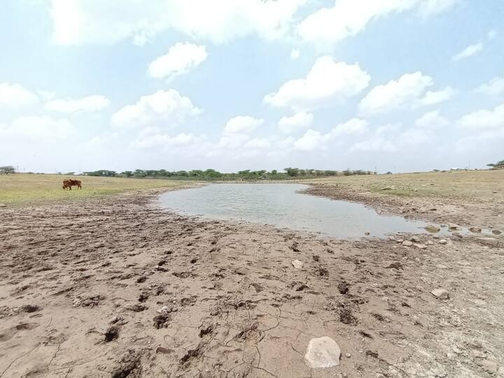 त्यामुळे गुराढोरांना पिण्यासाठी पाणी कुठून आणायचा हा प्रश्न शेतकऱ्यांना पडलाय. दोन-चार गावांची तहान भागवण्यासाठी, शेतीला पाणी मिळावं यासाठी अनेक गावात पाझर तलाव बांधण्यात आली आहे.