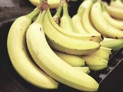 Banana Health: કેળા ખાવાથી વજન વધે છે, આ માન્યતા કેટલી સાચી, જાણો શું કહે છે એક્સ્પર્ટ