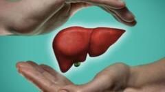Health News:পেটের ডান দিকে উপরের অংশে ব্যথা? লিভার-ডিজিজ নয়তো?