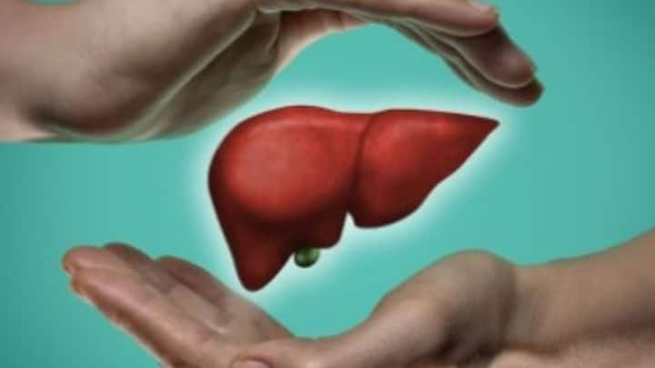 Liver Diseases:ফ্যাটি লিভার ডিজিজ। রোগটির কথা আকছার শোনা যায় আজকাল। সোজা করে বললে, লিভার বা যকৃতে মাত্রাতিরিক্ত ফ্যাট জমা-ই এই রোগের মূল কথা। কেন হয় এটি? উপসর্গ কী?