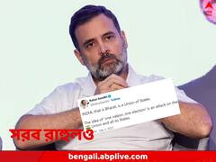 'যুক্তরাষ্ট্রের উপর আক্রমণ', ‘এক দেশ, এক নির্বাচনে’র বিরুদ্ধে মুখ খুললেন রাহুলও