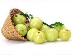 Fruits Good For Hair: চুলের স্বাস্থ্য ভাল রাখতে বিভিন্ন ভাবে কাজে লাগে এই পাঁচটি ফল, রইল তালিকা