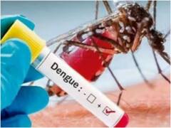 देहरादून में बारिश के बाद डेंगू ने दी दस्तक, मरीजों के लिए बनाया गया कंट्रोल रूम