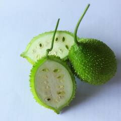 Health News : বর্ষায় চাষ হওয়া এই সবজি করতে পারে একাধিক রোগের নিরাময়, আশ্চর্য এর উপকারিতা