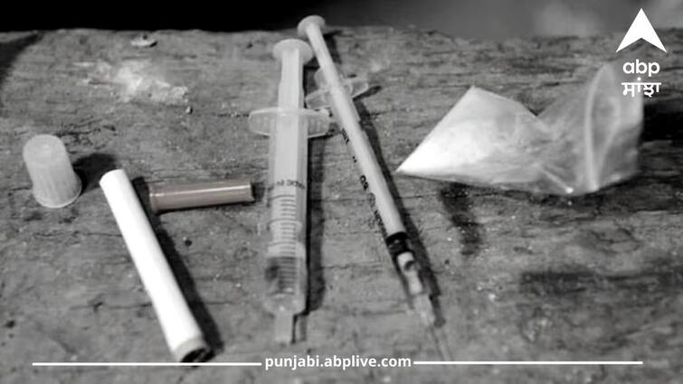 The government is also becoming sincere for the elimination of drugs in punjab Punjab Drugs: ਨਸ਼ਿਆਂ ਦੇ ਖ਼ਾਤਮੇ ਲਈ ਸਰਕਾਰ ਵੀ ਹੋਣ ਲੱਗੀ ਸੁਹਿਰਦ, ਜਾਰੀ ਕੀਤਾ ਹੈਲਪਾਈਨ ਨੰਬਰ, ਪਿੰਡਾਂ 'ਚ ਹੋਈਆਂ ਮੀਟਿੰਗਾਂ
