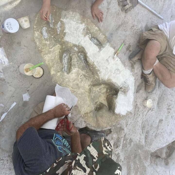 ਰਿਪੋਰਟ ਮੁਤਾਬਕ ਜਿਸ ਜਗ੍ਹਾ 'ਤੇ ਇਨ੍ਹਾਂ ਡਾਇਨਾਸੌਰ ਦੇ ਪੈਰਾਂ ਦੇ ਨਿਸ਼ਾਨ ਮਿਲੇ ਹਨ, ਉਹ ਆਮ ਤੌਰ 'ਤੇ ਪਾਲਕਸੀ ਨਦੀ ਦੇ ਪਾਣੀ ਅਤੇ ਚਿੱਕੜ ਨਾਲ ਢੱਕਿਆ ਰਹਿੰਦਾ ਸੀ ਪਰ ਅੱਤ ਦੀ ਗਰਮੀ ਕਾਰਨ ਹੁਣ ਪਾਲਕਸੀ ਨਦੀ ਸੁੱਕ ਗਈ ਹੈ। ਇਸ ਕਾਰਨ ਉਸ ਥਾਂ 'ਤੇ ਡਾਇਨਾਸੌਰ ਦੇ ਪੈਰਾਂ ਦੇ ਨਿਸ਼ਾਨਾਂ ਨਾਲ ਬਣਿਆ ਪੂਰਾ ਟਰੈਕ ਦੇਖਿਆ ਗਿਆ ਹੈ।